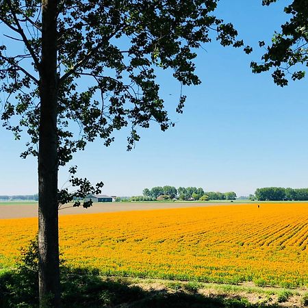 Slapen Bij De Zeeuwse Lala Bed & Breakfast IJzendijke Bagian luar foto