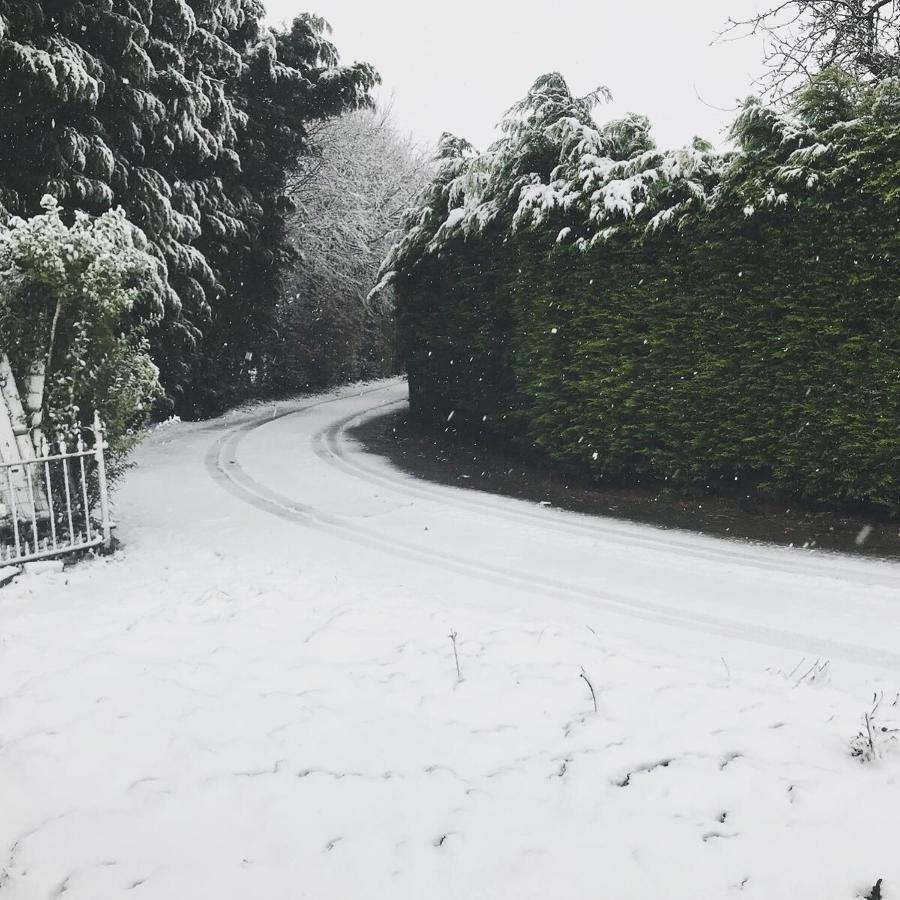 Slapen Bij De Zeeuwse Lala Bed & Breakfast IJzendijke Bagian luar foto