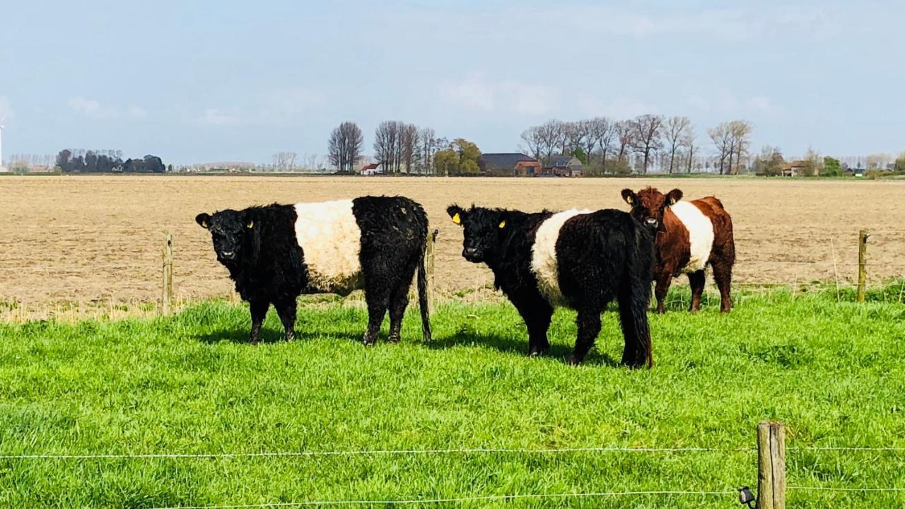 Slapen Bij De Zeeuwse Lala Bed & Breakfast IJzendijke Bagian luar foto