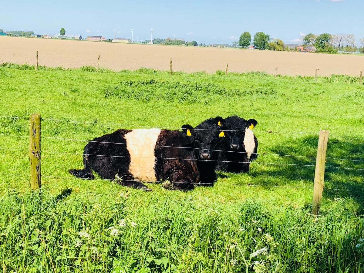 Slapen Bij De Zeeuwse Lala Bed & Breakfast IJzendijke Bagian luar foto