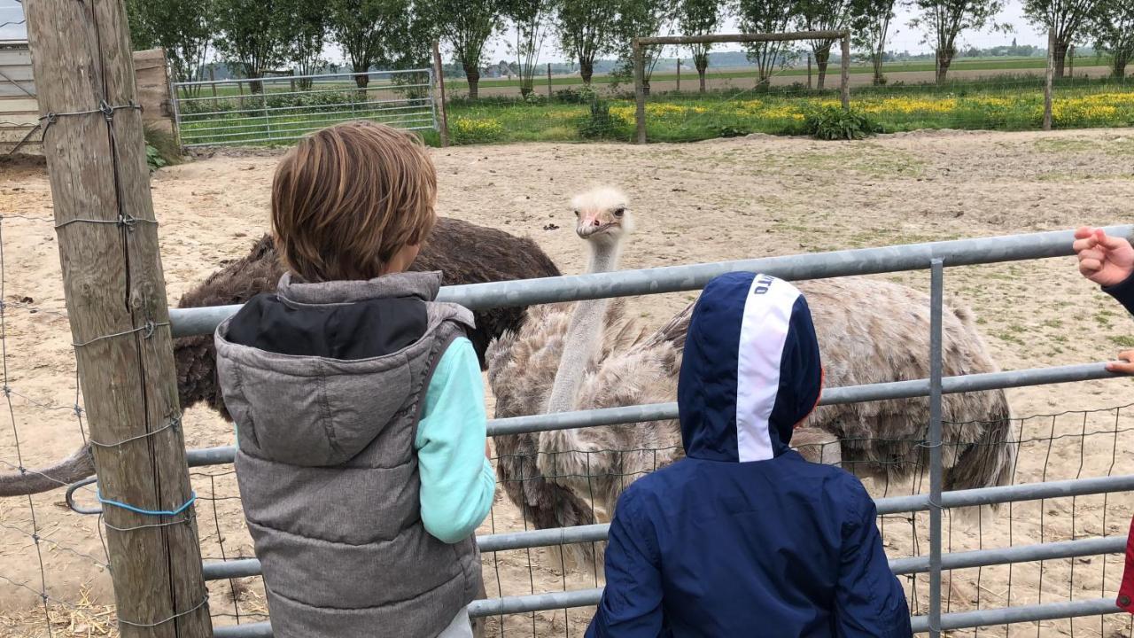 Slapen Bij De Zeeuwse Lala Bed & Breakfast IJzendijke Bagian luar foto